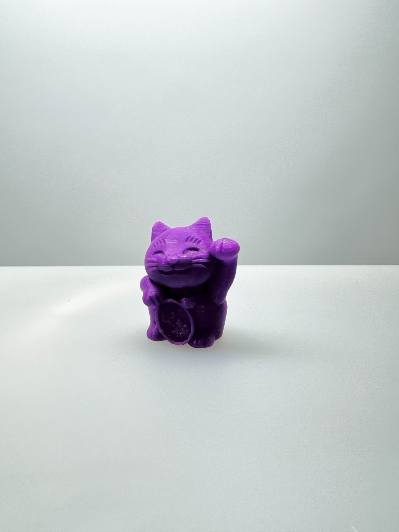 Gato chino