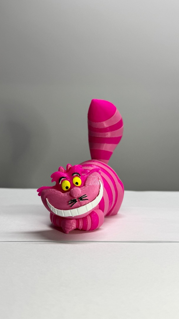 Gato Alicia 